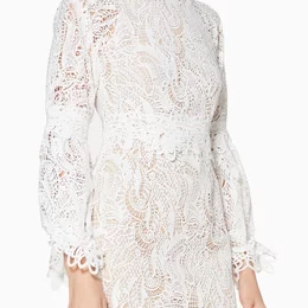 Elliatt White Lace Long Sleeve Dress